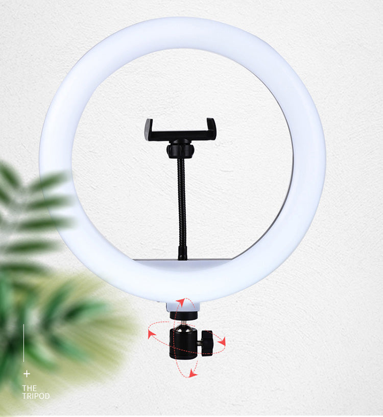 ba4295c4c754c7aeb773764c612042f0 ba4295c4c754c7aeb773764c612042f0